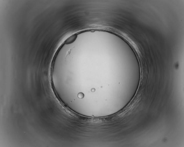 X0000100841291200806200729