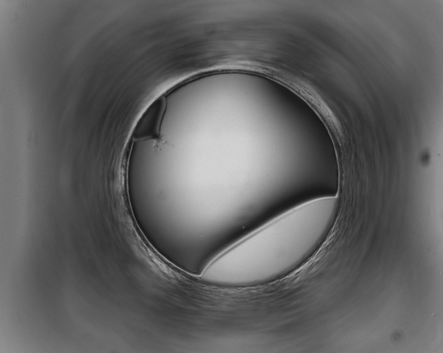 X0000100841292200806200729