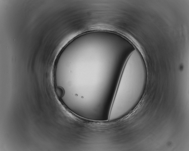 X0000100841293200806200729