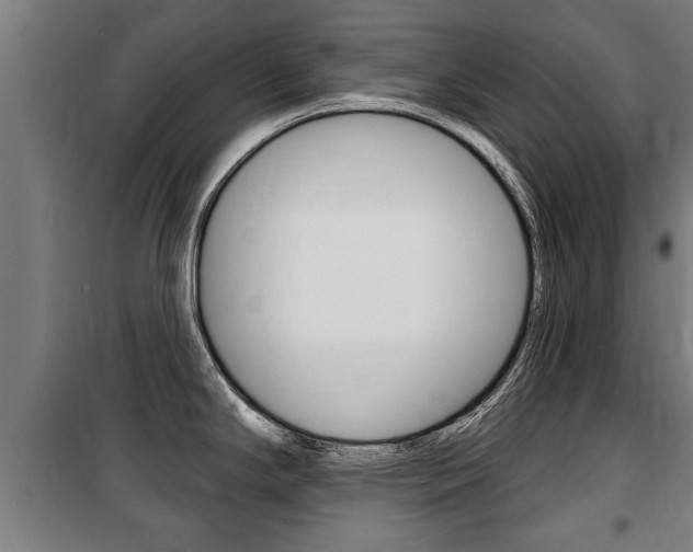 X0000100841294200806200729