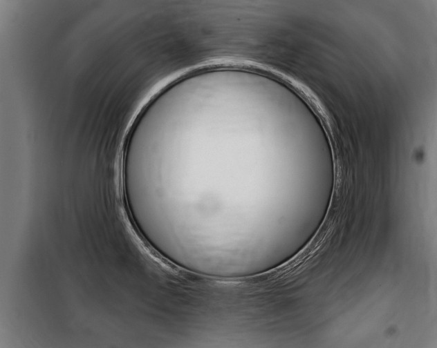 X0000100841295200806200729