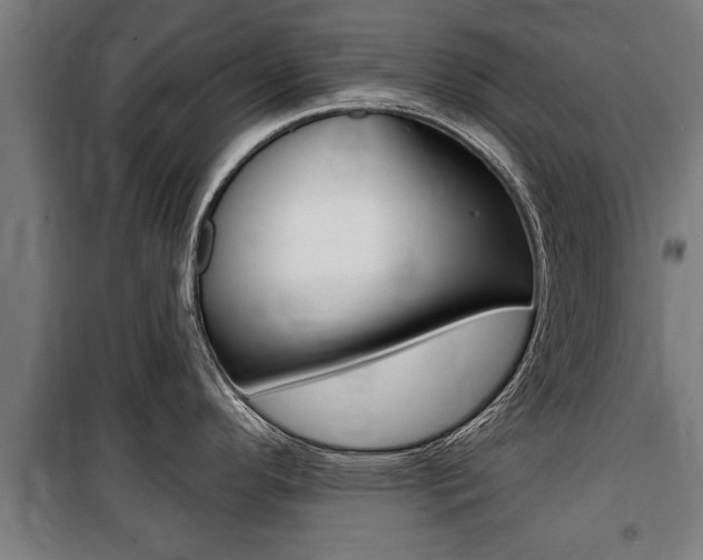 X0000100841296200806200729