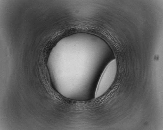 X0000100841297200806200728