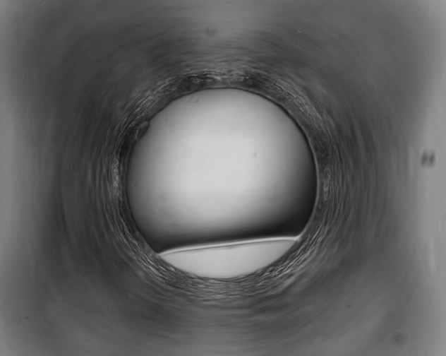 X0000100841298200806200728