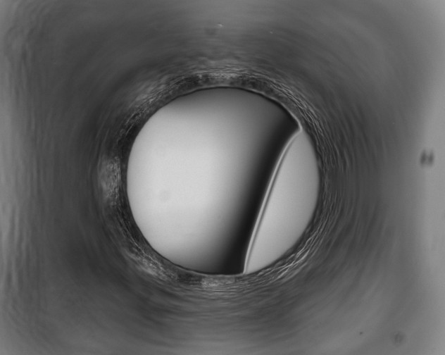 X0000100841299200806200728