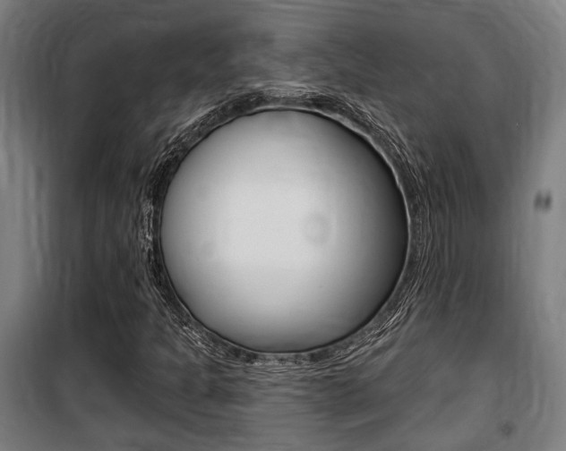 X0000100841301200806200728