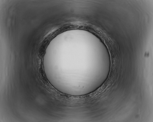 X0000100841302200806200728