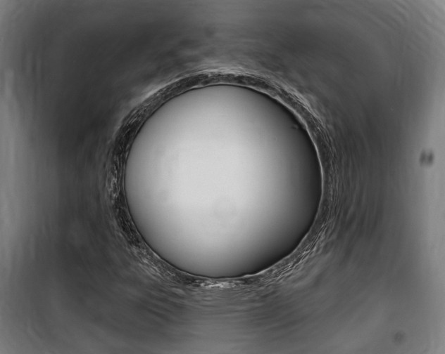 X0000100841303200806200728