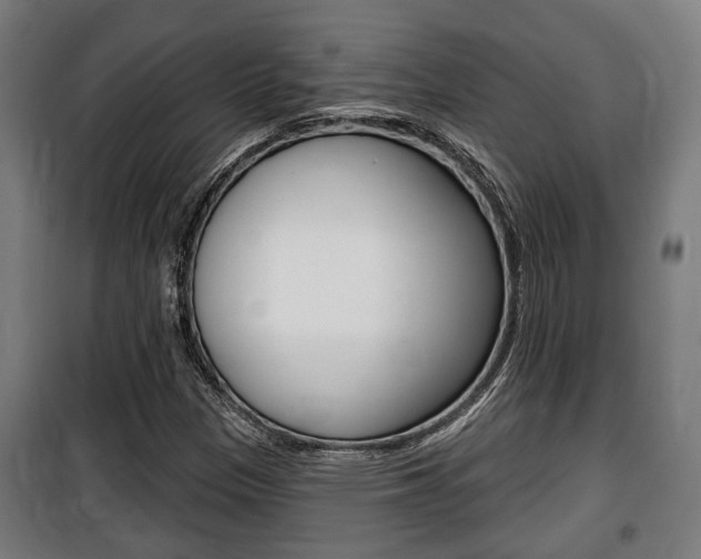 X0000100841305200806200728
