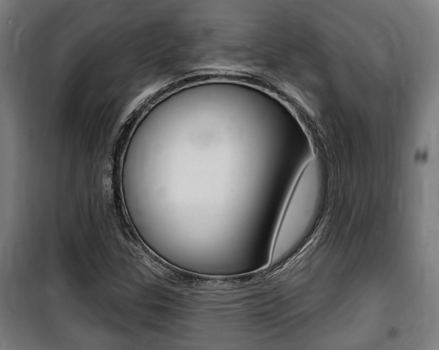 X0000100841307200806200728