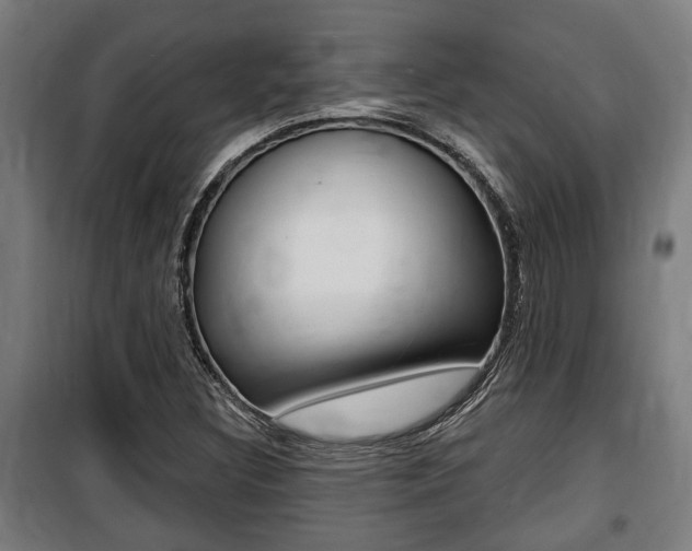 X0000100841308200806200728