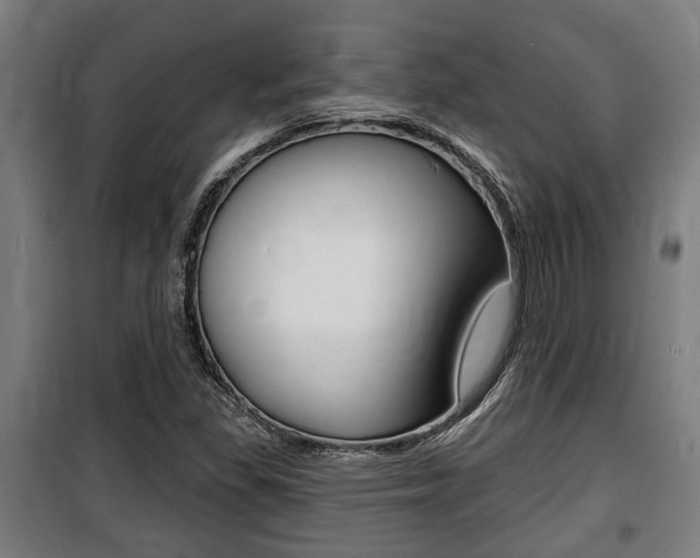 X0000100841309200806200728