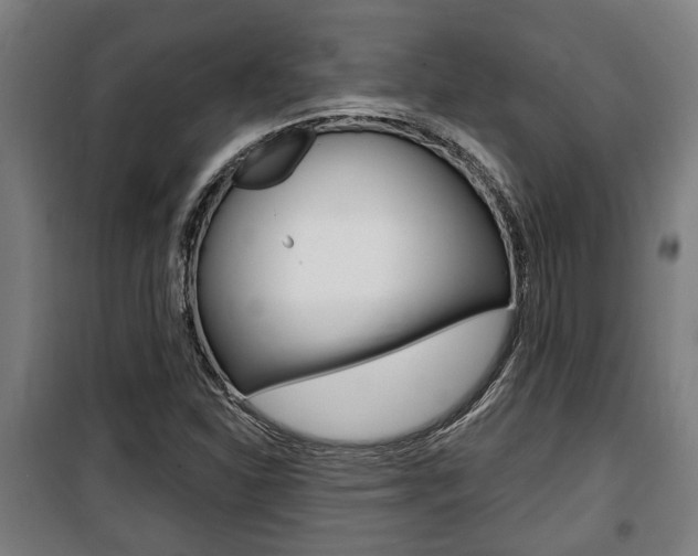 X0000100841310200806200728