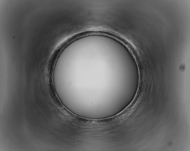 X0000100841311200806200728