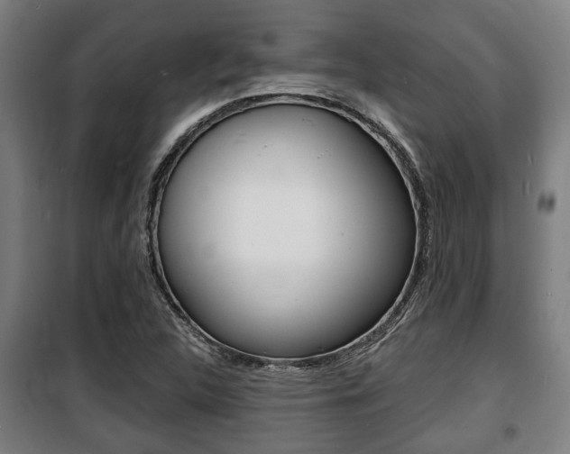 X0000100841312200806200728