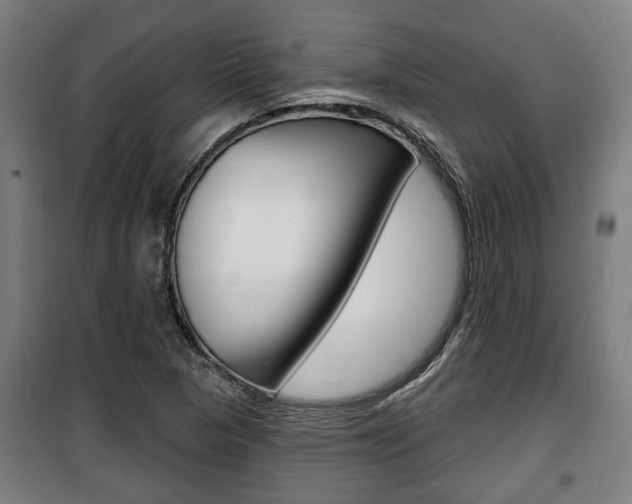 X0000100841313200806200728