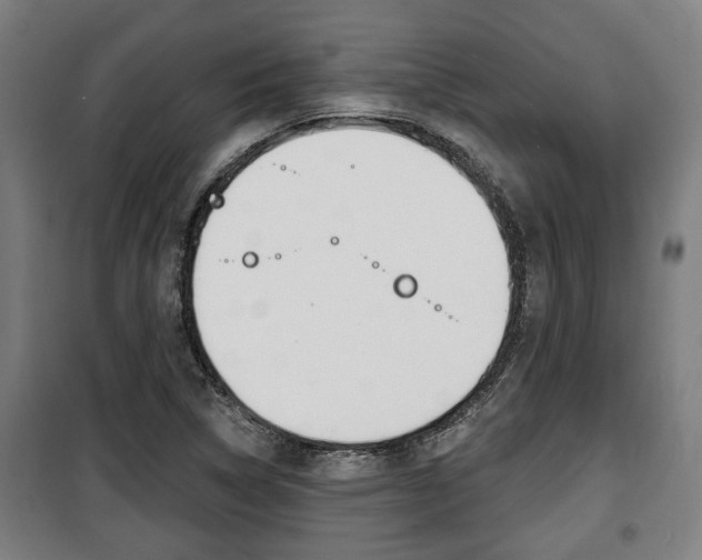 X0000100841314200806200728