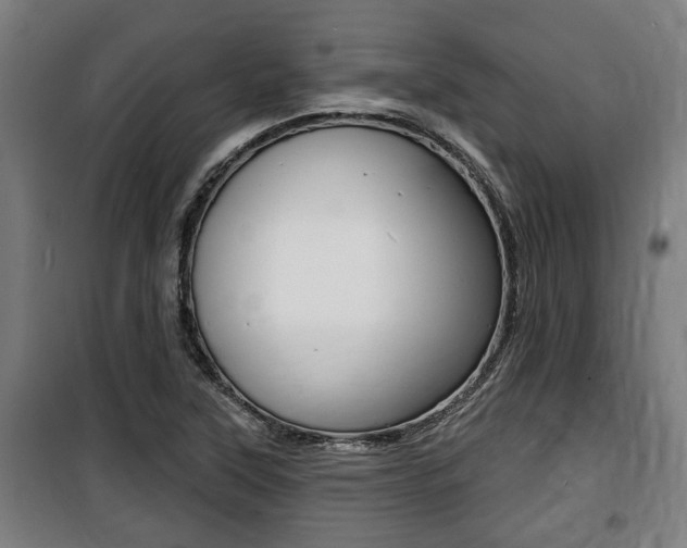 X0000100841315200806200728