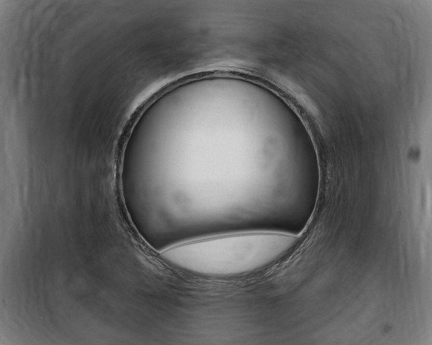 X0000100841316200806200728