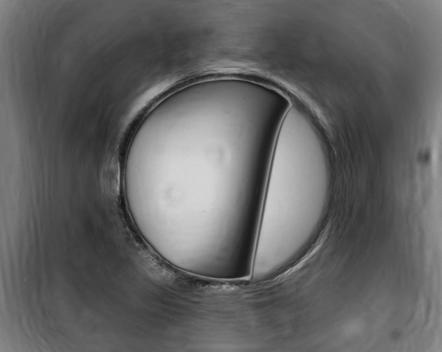 X0000100841317200806200729