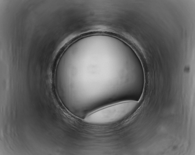 X0000100841318200806200729