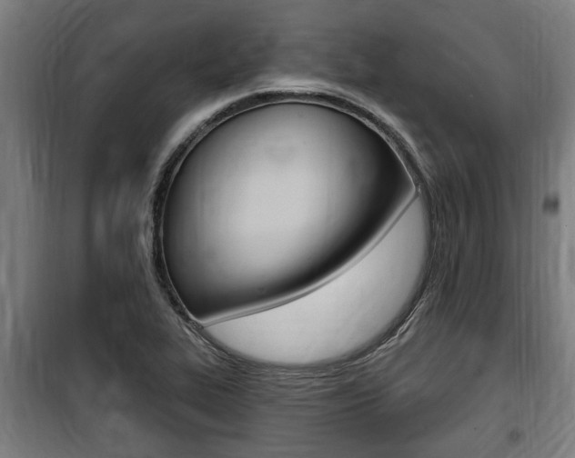 X0000100841319200806200729