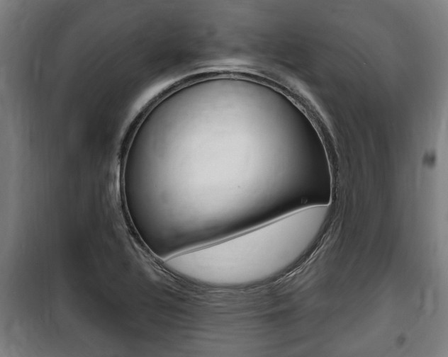 X0000100841320200806200729