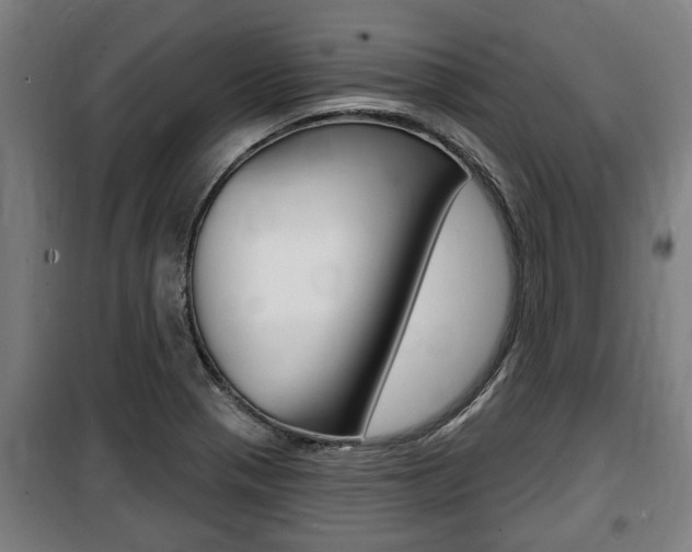 X0000100841321200806200729