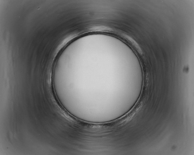 X0000100841322200806200729