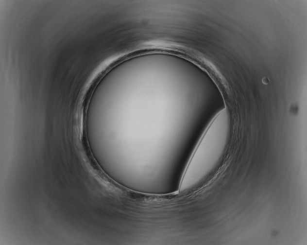 X0000100841323200806200729