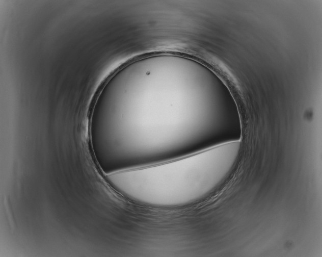 X0000100841324200806200729