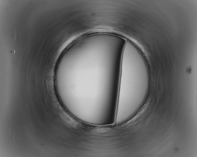 X0000100841325200806200729