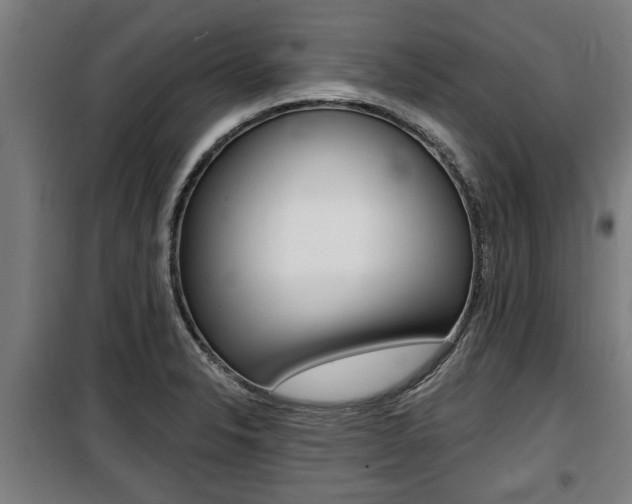 X0000100841326200806200729