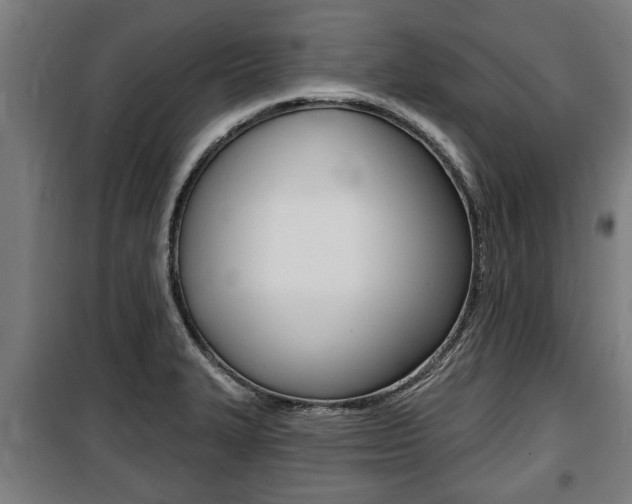 X0000100841327200806200729