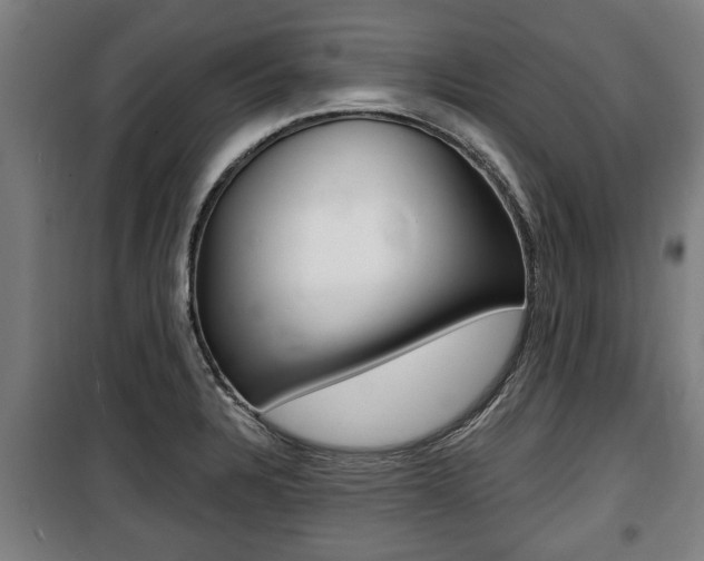 X0000100841328200806200729