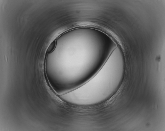 X0000100841330200806200729