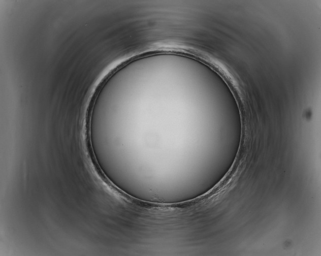 X0000100841331200806200729