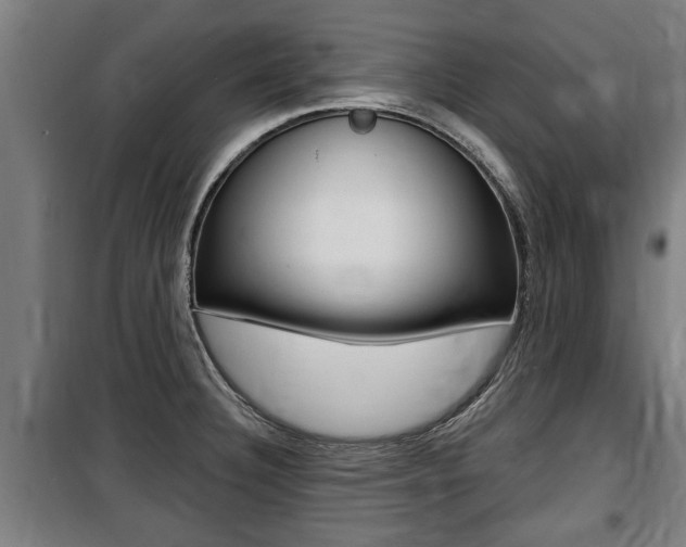 X0000100841332200806200729