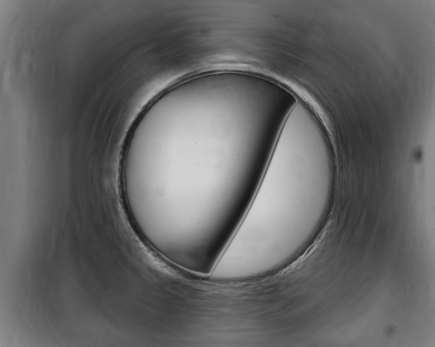 X0000100841333200806200729