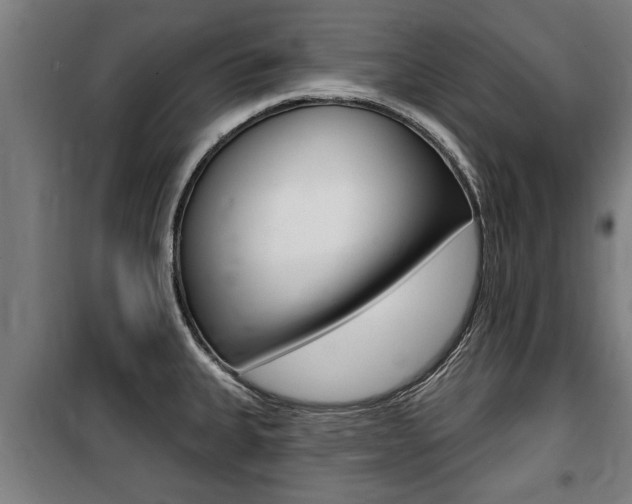 X0000100841335200806200729