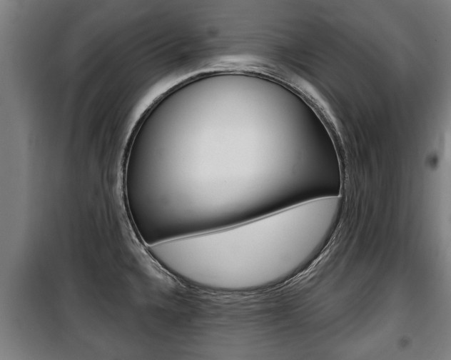 X0000100841336200806200729