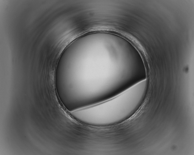 X0000100841337200806200729