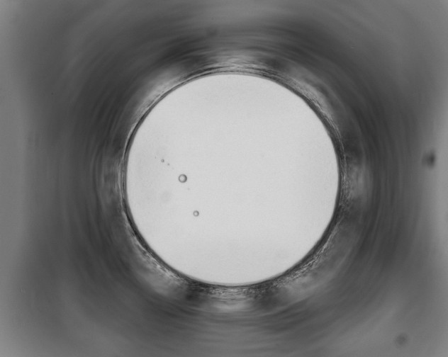 X0000100841338200806200729