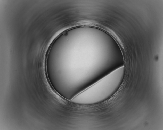 X0000100841339200806200729