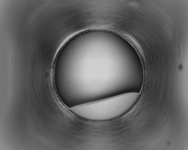 X0000100841340200806200729