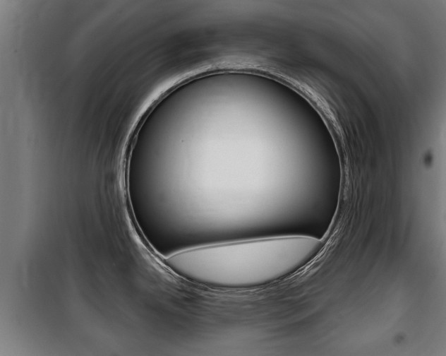 X0000100841342200806200729