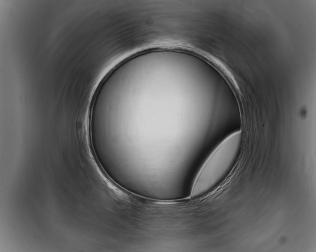 X0000100841343200806200729