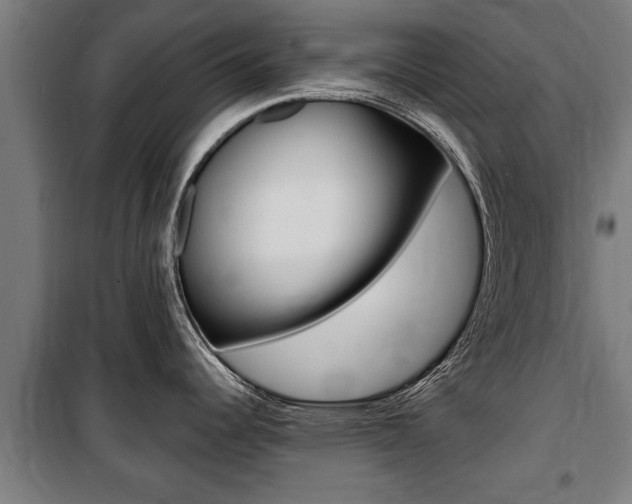 X0000100841344200806200729