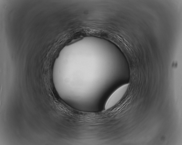 X0000100841345200806200728