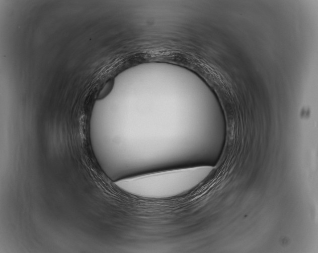 X0000100841346200806200728
